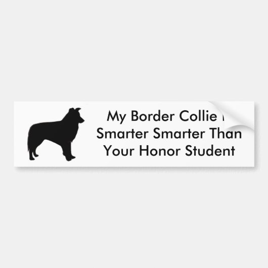 Intelligente Border-Collie Autoaufkleber (Vorne)