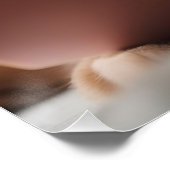 Intelligente Katze, die ein Buch liest Poster (Ecke)