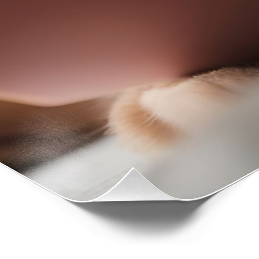 Intelligente Katze, die ein Buch liest Poster (Ecke)