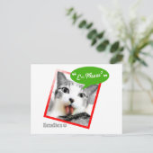 intelligente Katze Postkarte (Stehend Vorderseite)