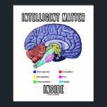 Intelligente Materie im Inneren (anatomischer Gehi Poster<br><div class="desc">Zeigen Sie Ihre wry anatomische Einstellung mit diesem Poster,  das die verschiedenen Teile des menschlichen Gehirns zusammen mit dem Sprichwort "Intelligente Materie im Inneren" zeigt.</div>