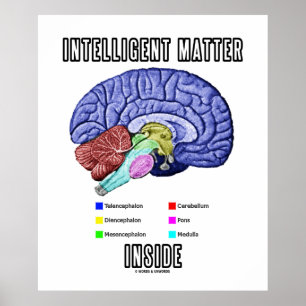 Intelligente Materie im Inneren (anatomischer Gehi Poster