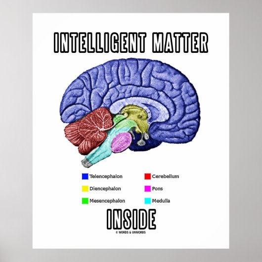 Intelligente Materie im Inneren (anatomischer Gehi Poster (Vorne)