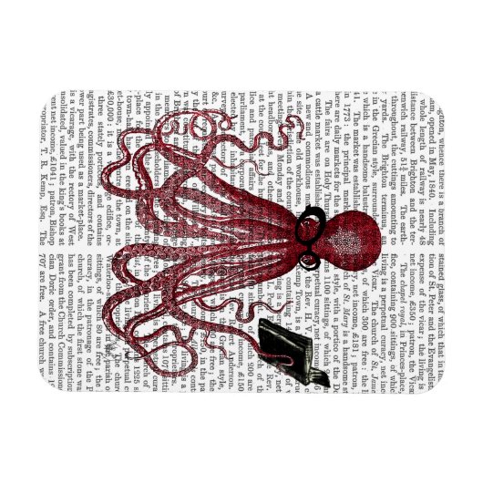 Intelligente Oktopus Magnet (Horizontal)