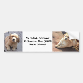 intelligenter als ein Ehrenstudent Autoaufkleber