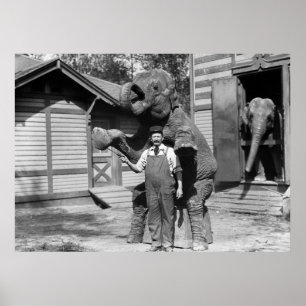 Intelligenter Elefant-Trick, 1910s Poster