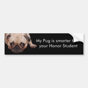 Intelligenterer Mops-Autoaufkleber Autoaufkleber