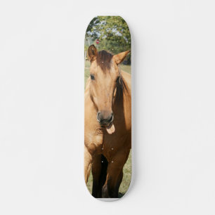 intelligentes aleck Pferd Skateboard