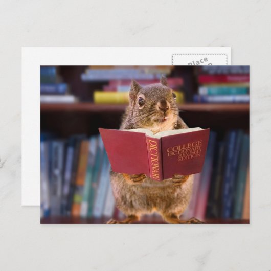 Intelligentes Eichhörnchen beim Lesen eines Wörter Postkarte (Vorne/Hinten)