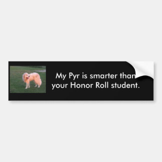 Intelligentes Pyr Autoaufkleber