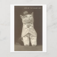 "Intelligentes Set", Vintag gekleidete Katze