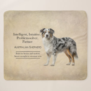Intelligenz des Blue Merle Australian Shepherd Sherpadecke