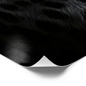 Intense Black and White Cheetah Portrait Poster (Ecke)