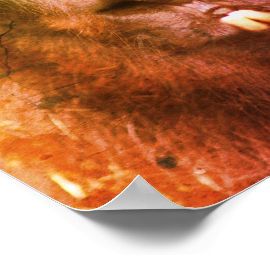 Intense Black Llama Face Close Up Abstract Poster (Ecke)