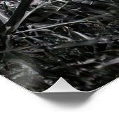 Intense Black & White King Cobra Fine Art Print | Poster (Ecke)