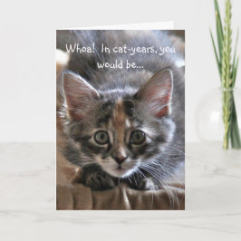 Intense Kitten Happy Birthday Card Karte