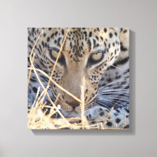 INTENSE LEOPARD-AUGEN NAHAUFNAHME LEINWANDDRUCK