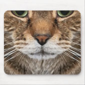 Intense Tabby Cat Puss Face - Green Eyes Phot Mousepad (Vorne)