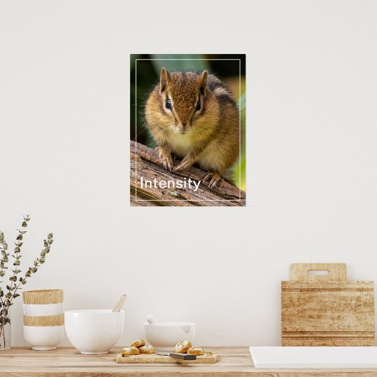 Intensität Chipmunk Stare Poster (Küche)