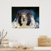 Intensität - Der Blick des Falken Poster (Küche)