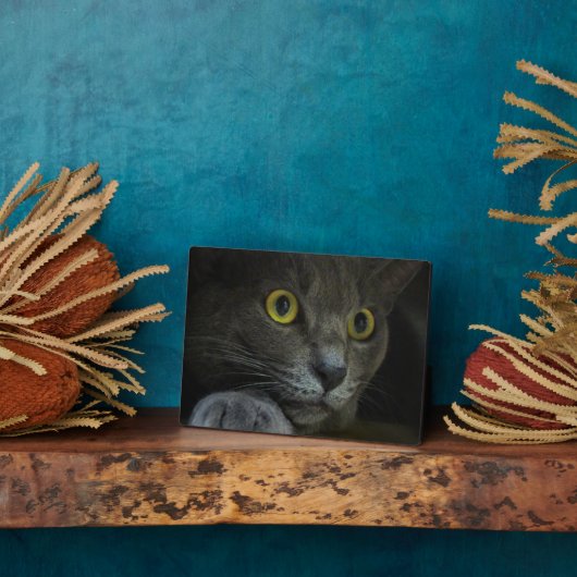 Intensität Foto Plaque Fotoplatte (Seite)