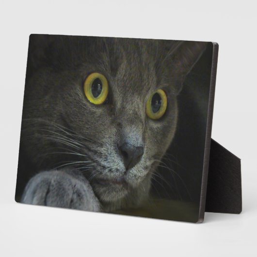 Intensität Foto Plaque Fotoplatte (Seite)