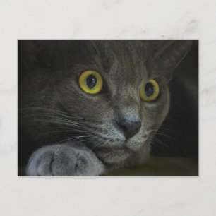 Intensität Postkarte