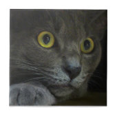 Intensitäts-dekorative Fliese (Vorderseite)