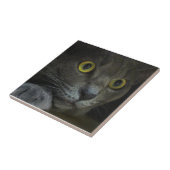 Intensitäts-dekorative Fliese (Seite)