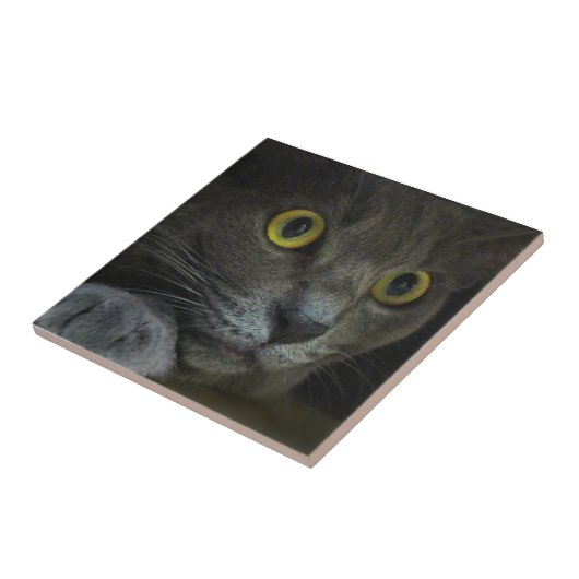 Intensitäts-dekorative Fliese (Seite)