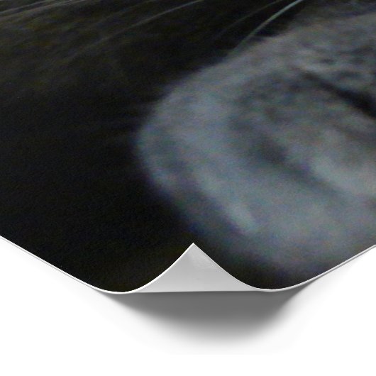 Intensitätsdruck Poster (Ecke)