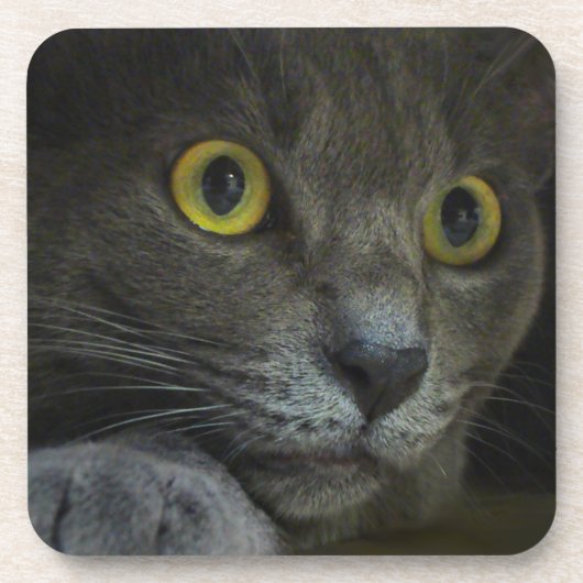 Intensitätskork-Untersetzer Untersetzer (Vorderseite)