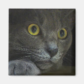 Intensitätsmagnet Magnet (Vorne)