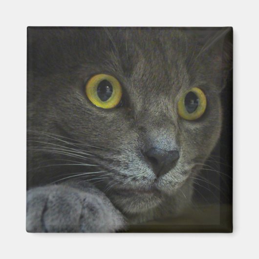 Intensitätsmagnet Magnet (Vorne)