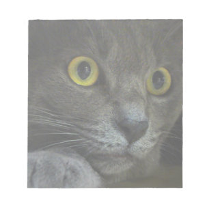 Intensitätsmerkmal Notizblock