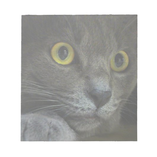 Intensitätsmerkmal Notizblock (Vorderseite)