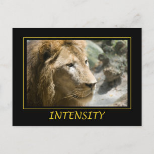 Intensity Postkarte