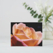 Intensiv farbige Gelbe Rose-Blume Postkarte (Stehend Vorderseite)