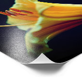 Intensiv-Gelblilie-Blume 8x10 Fotodruck (Ecke)