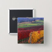 Intensiv rote und gelbe Herbstfarben auf Gehring Button (Vorne & Hinten)