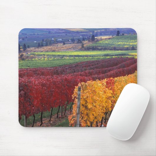 Intensiv rote und gelbe Herbstfarben auf Gehring Mousepad (Mit Mouse)