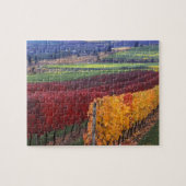 Intensiv rote und gelbe Herbstfarben auf Gehring Puzzle (Horizontal)