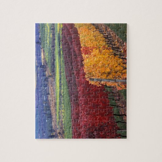 Intensiv rote und gelbe Herbstfarben auf Gehring Puzzle (Vertikal)