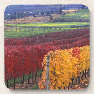 Intensiv rote und gelbe Herbstfarben auf Gehring Untersetzer