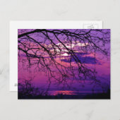 Intensiv und lebhaft - Lila Sonnenuntergangslandsc Postkarte (Vorne/Hinten)