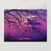 Intensiv und lebhaft - Lila Sonnenuntergangslandsc