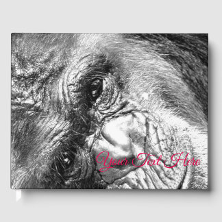 Intensivblick Gästebuch