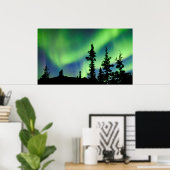 Intensive Aurora borealis über schwarze Fichtentai Poster (Heimbüro)