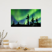 Intensive Aurora borealis über schwarze Fichtentai Poster (Küche)
