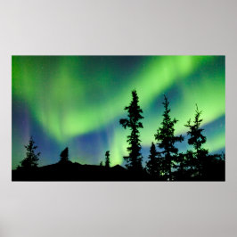 Intensive Aurora borealis über schwarze Fichtentai Poster